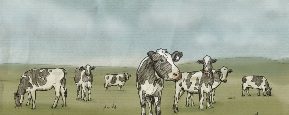 Визитка с коровой