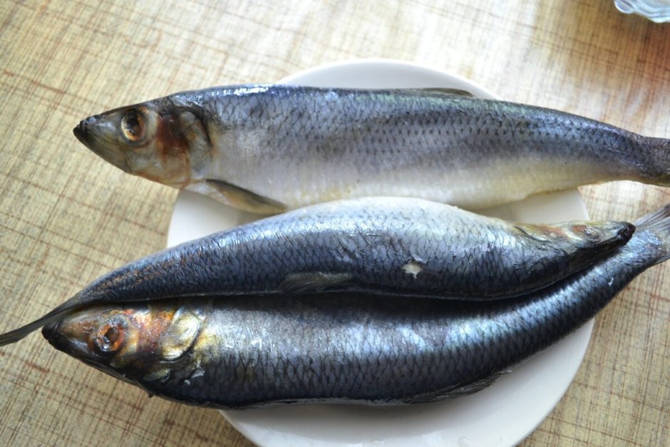 Жирная селедка