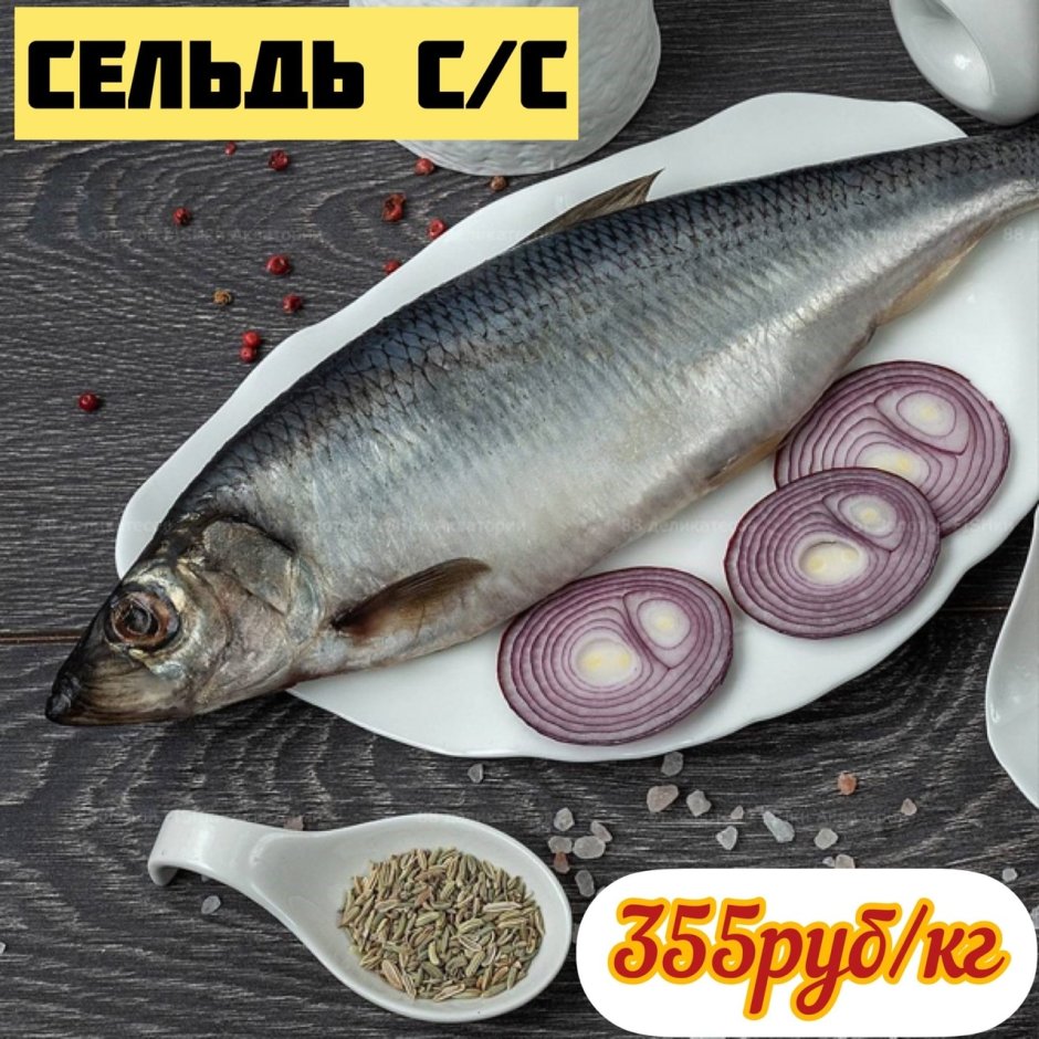 Сельдь Тихоокеанская олюторская