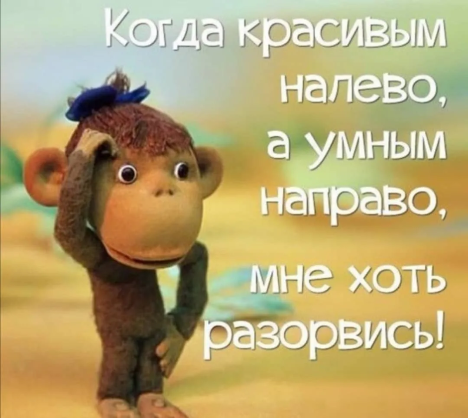 Умные налево красивые направо