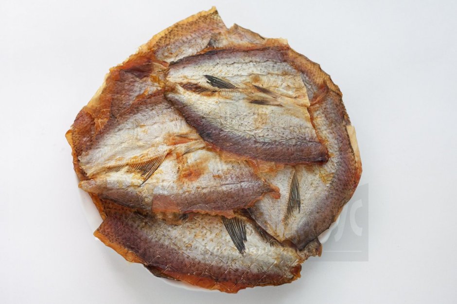 Акула Зебра