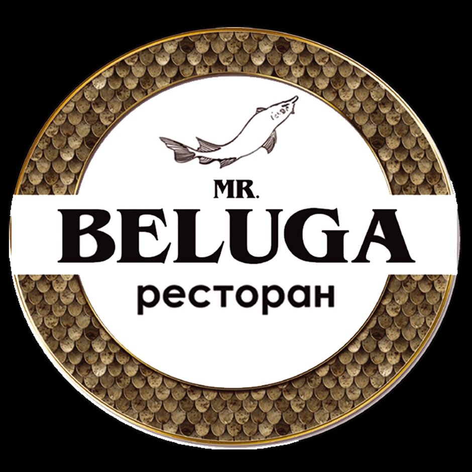 Кот хакер