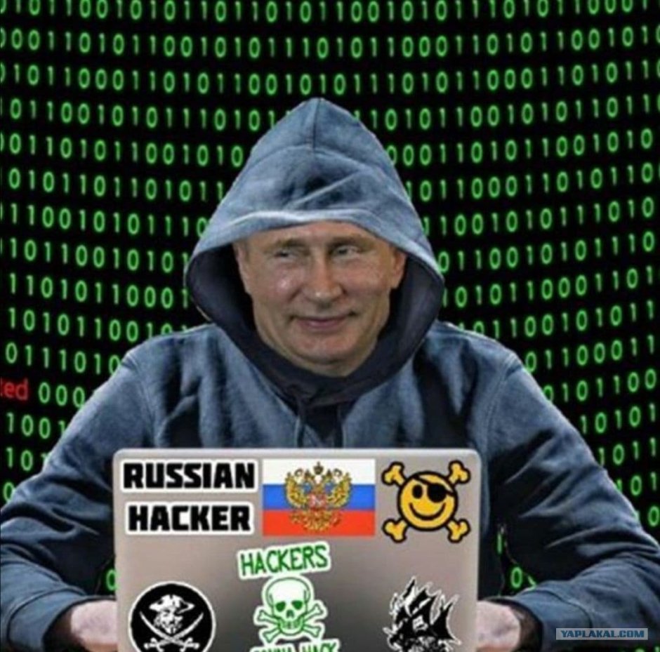 Белуга альбинос