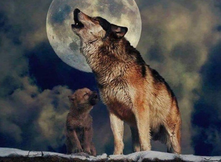 Вымирающие виды