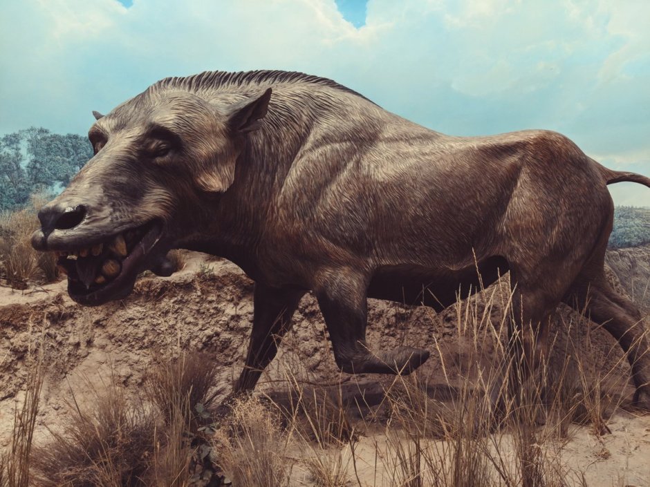 Снимки вымерших животных