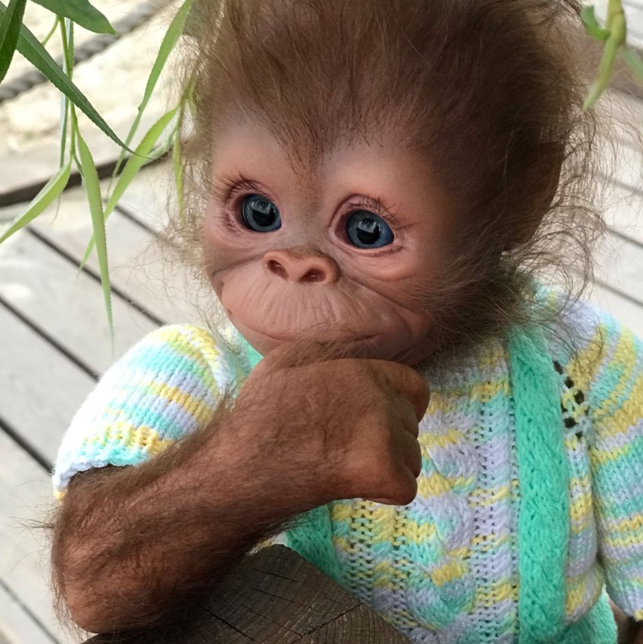 Ручная обезьянка