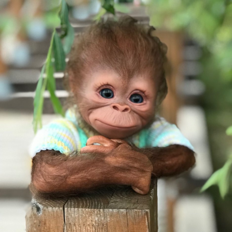 Обезьянка Мария Францевна