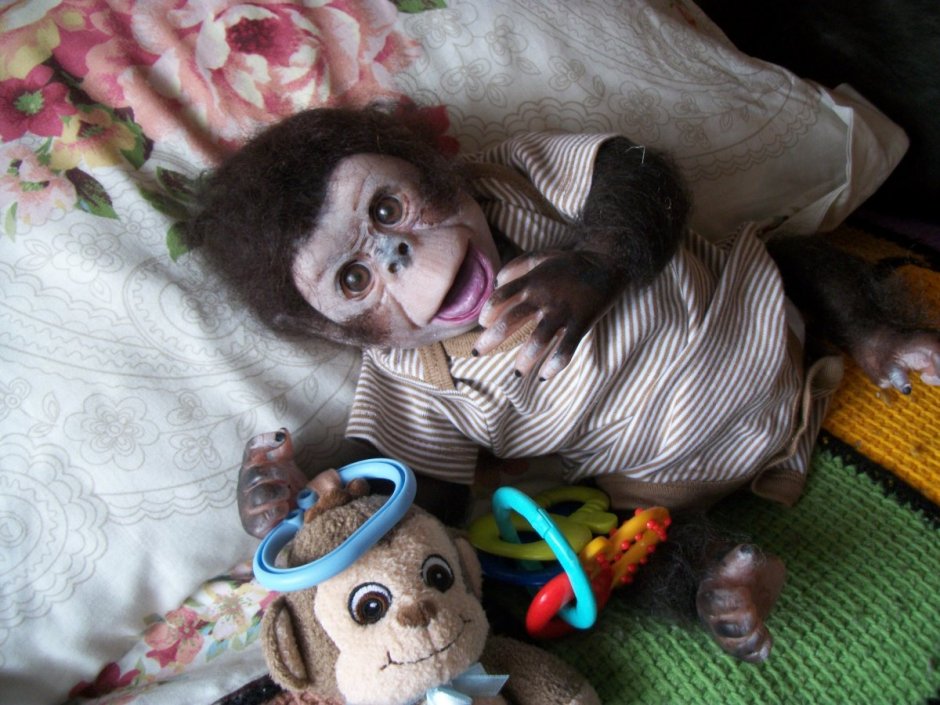 Домашние обезьянки девочки