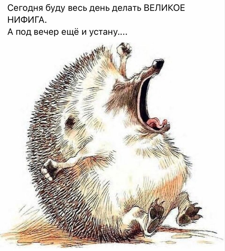 Ежик пьет чай