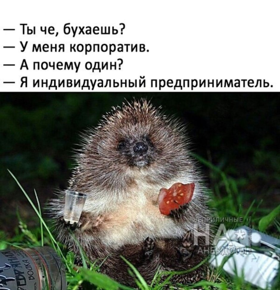 Прививка юмор