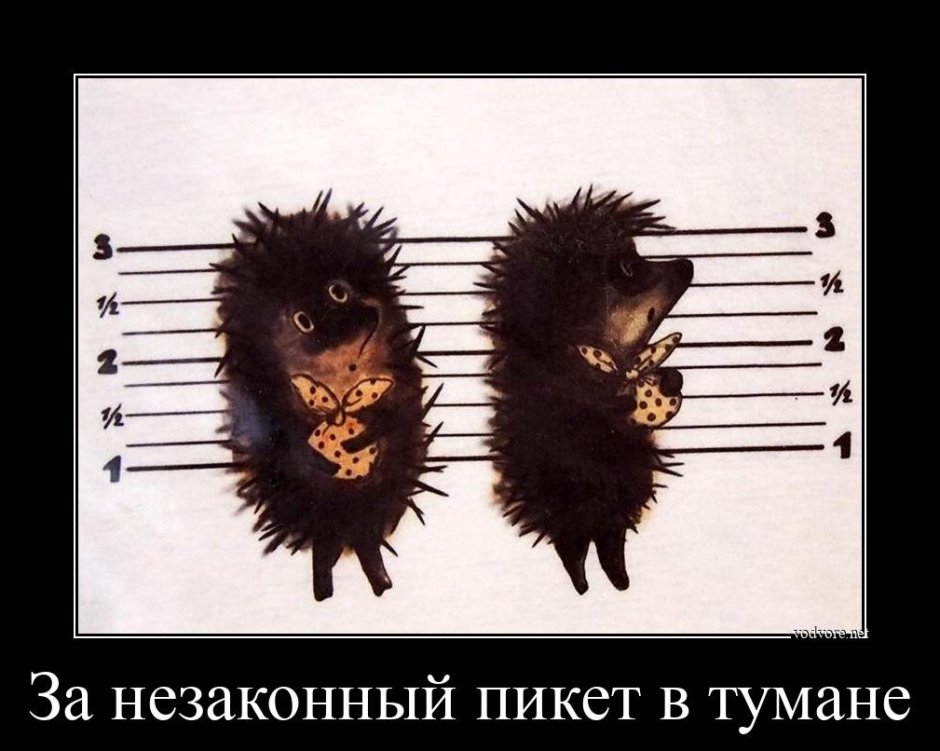 Ежи в противогазах