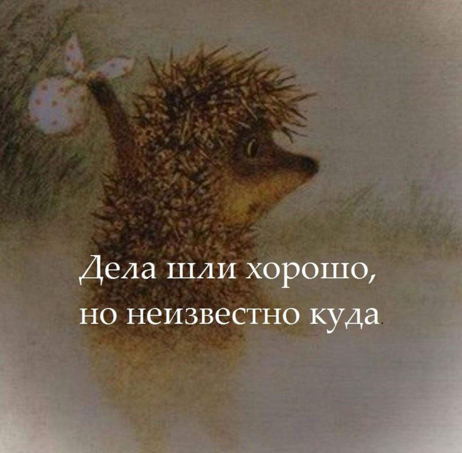 Цитаты из ежика в тумане