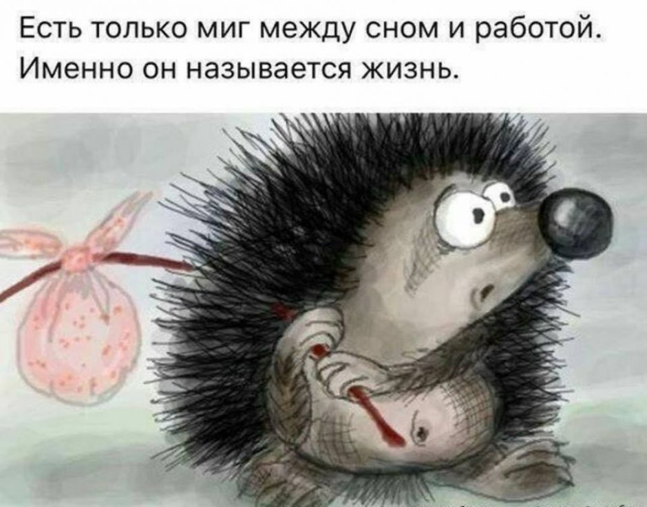 Ёжик в тумане с надписями