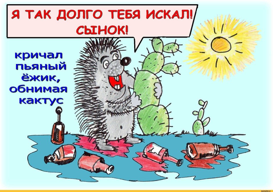 Умный Ежик