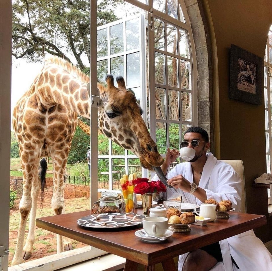 Бутик-отель Giraffe Manor