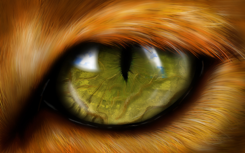 Зрачок лисы