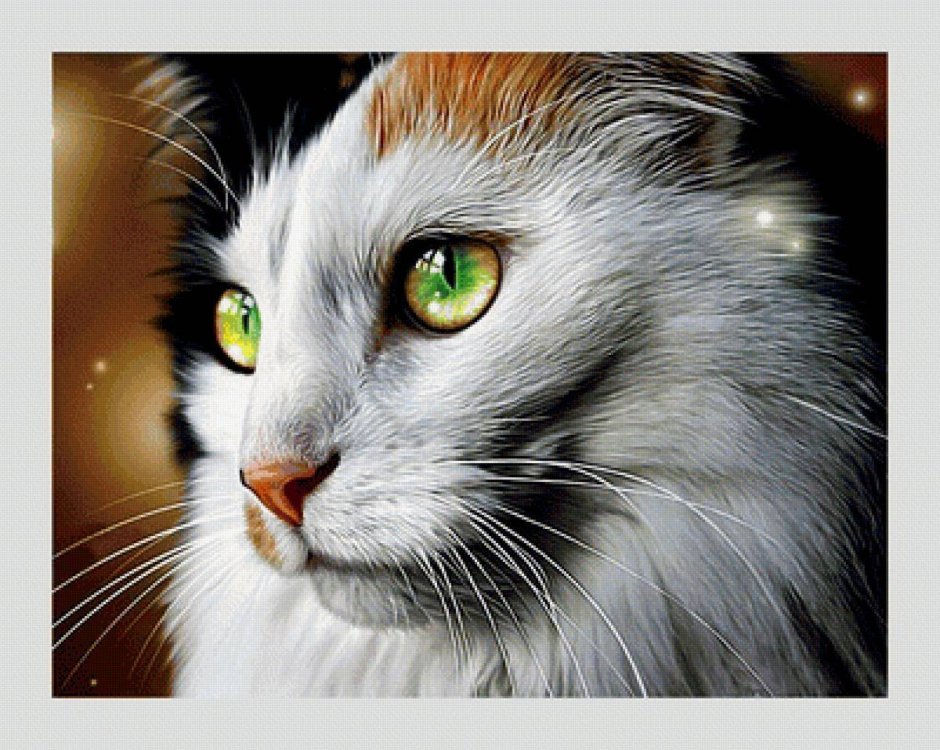 Трёхцветные кошки с зелёными глазами