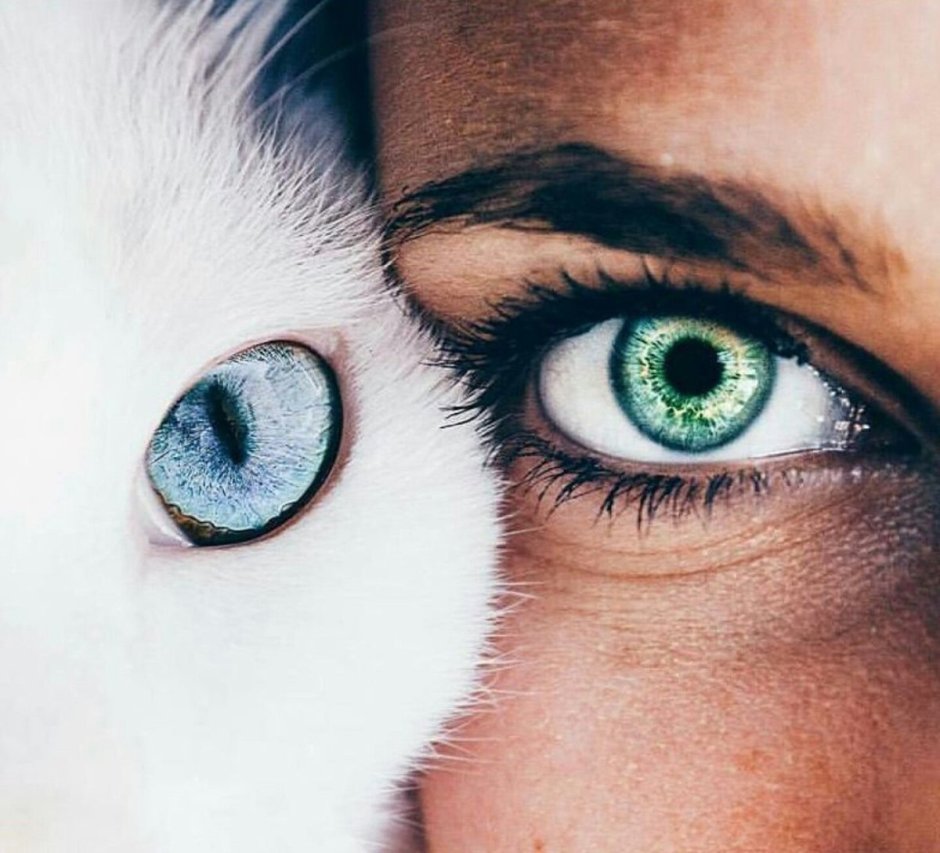 Красивые глазки