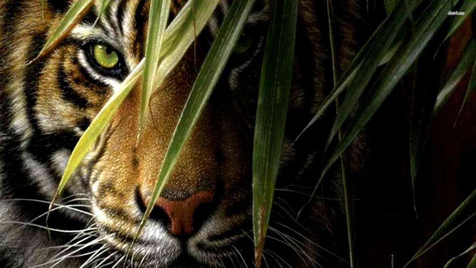 Художник Коллин Богл Collin Bogle