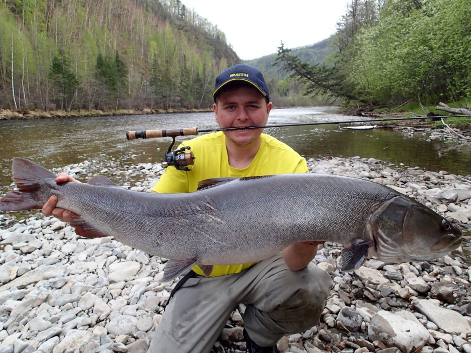 Таймень Уссури