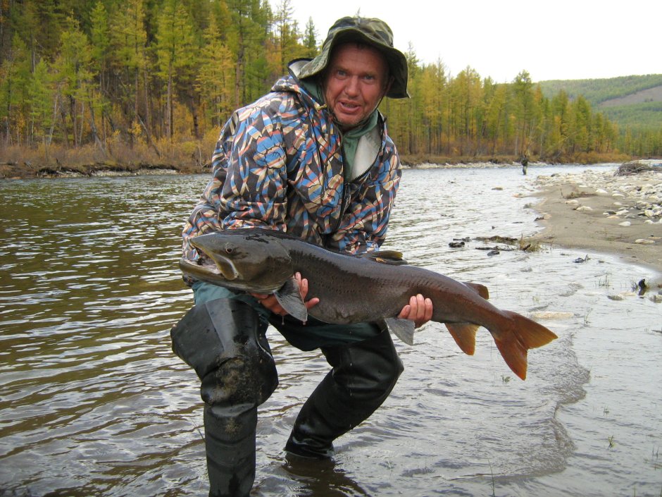 Фото ТАЙМЕШАТ