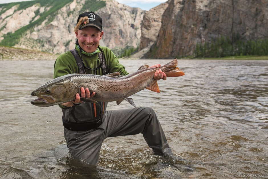 Обыкновенный Таймень Алтай