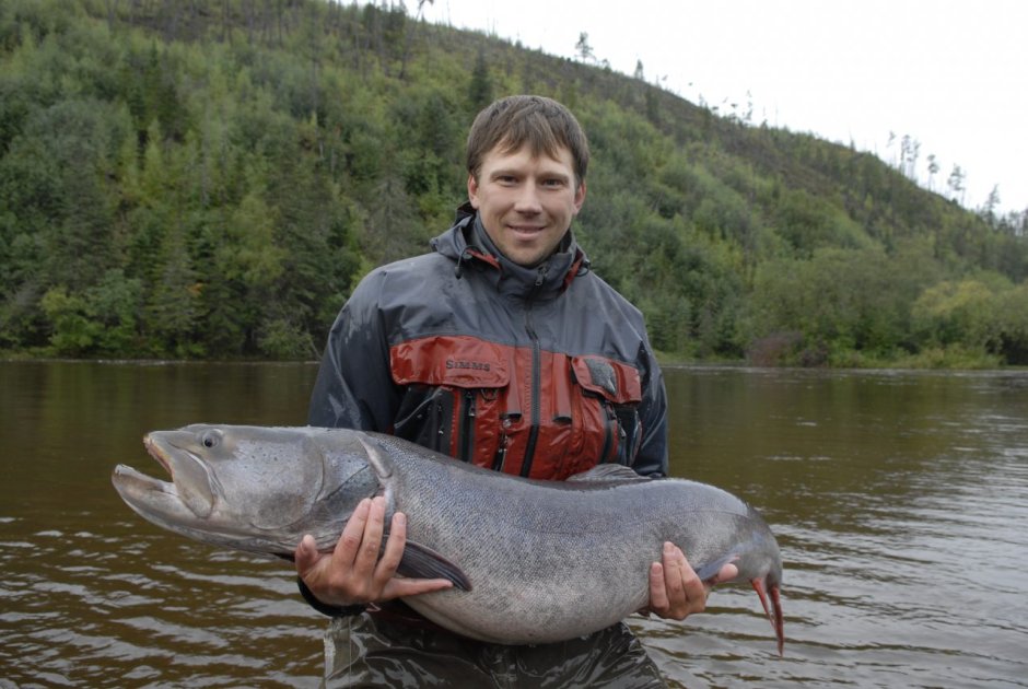 Таймень рекорд