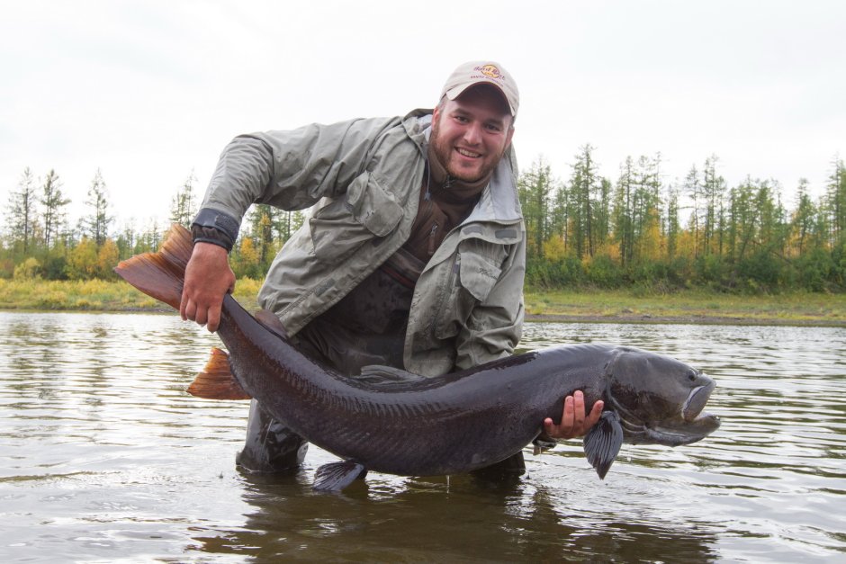 Река Енисей рыбалка Таймень