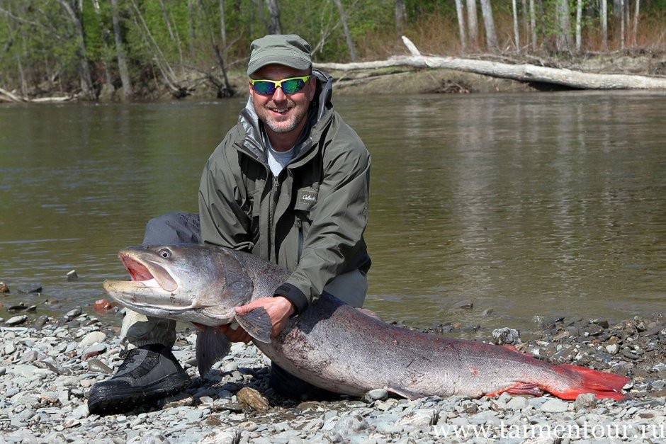 Таймень Амурский