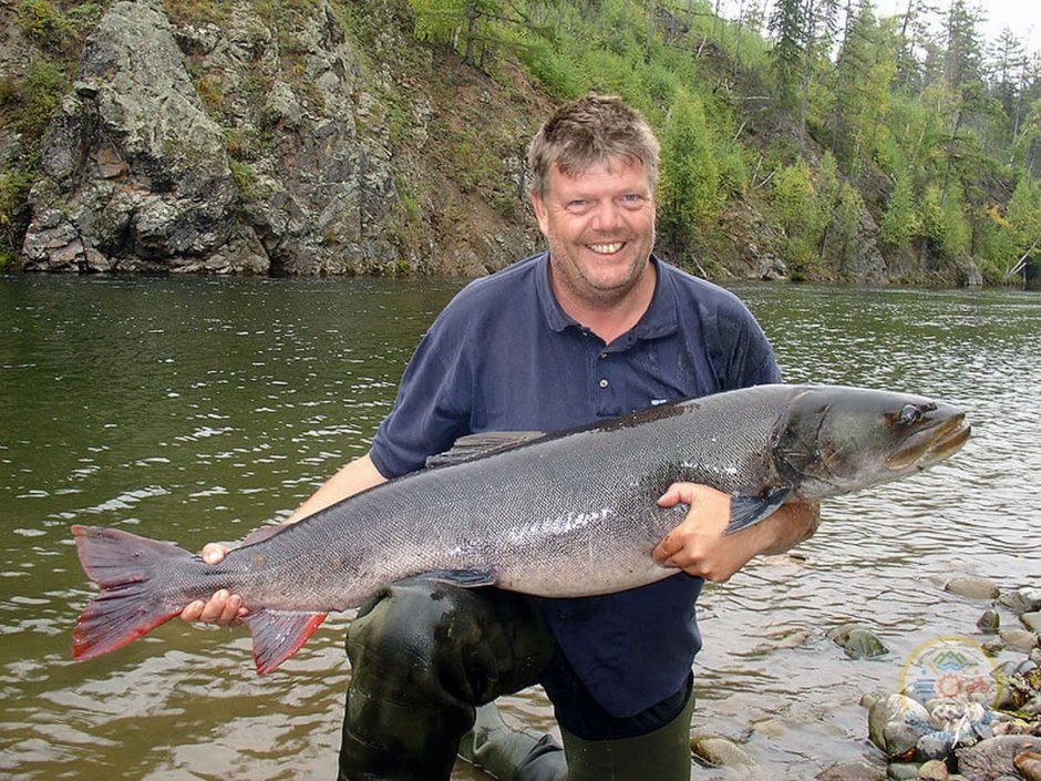 Сибирский Таймень
