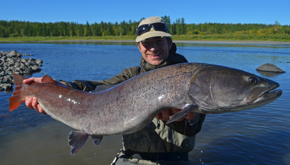 Сахалинский Таймень