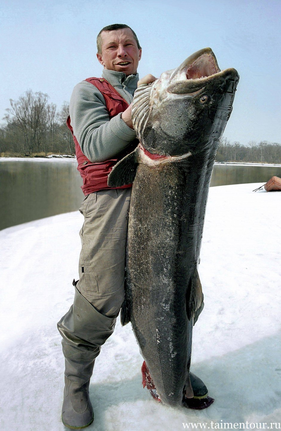 Таймень Байкальский