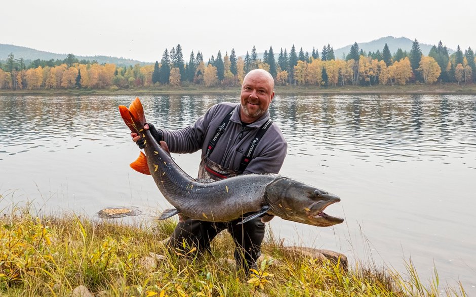 Таймень Якутия