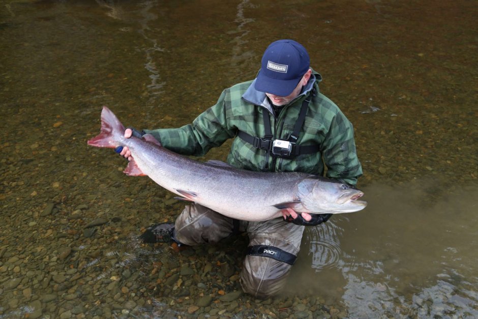 Таймень 16кг