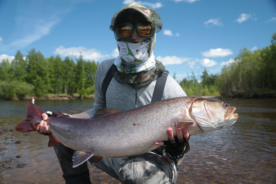 Таймень рыба