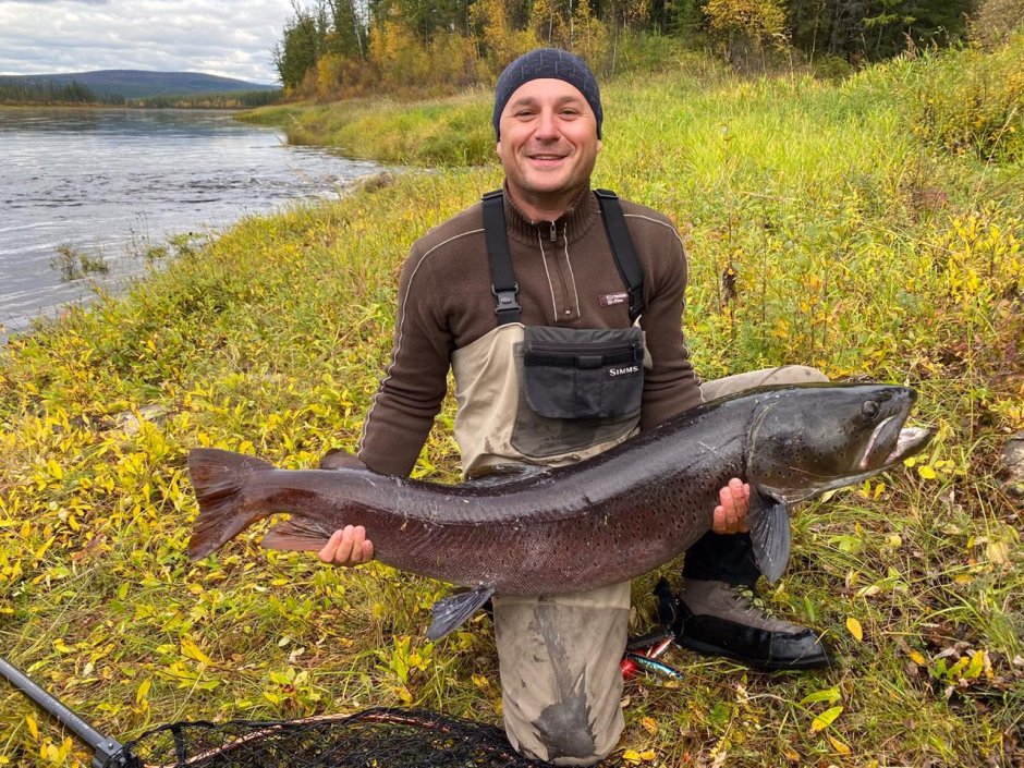 Таймень Амурский