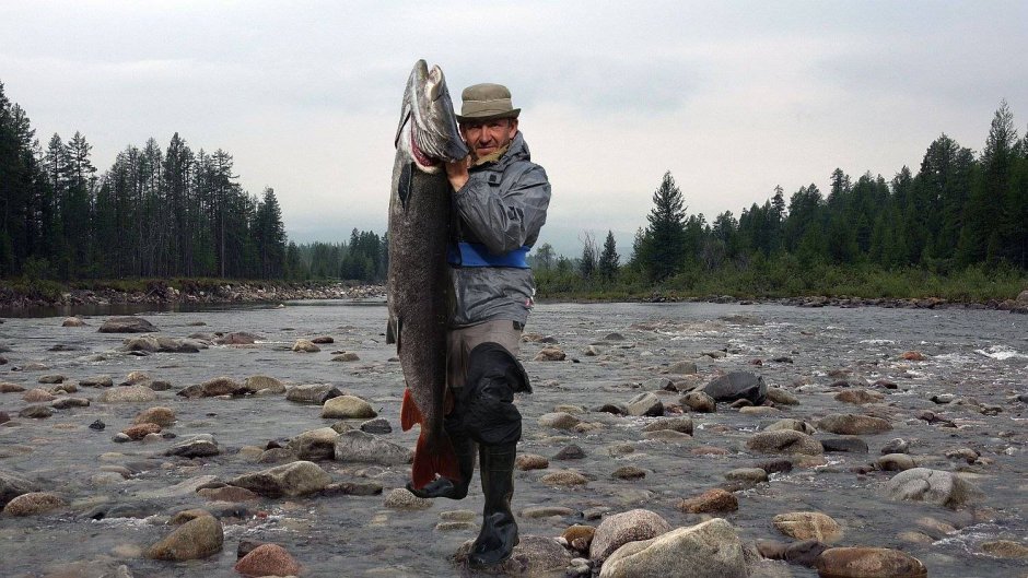 Река Витим рыбалка