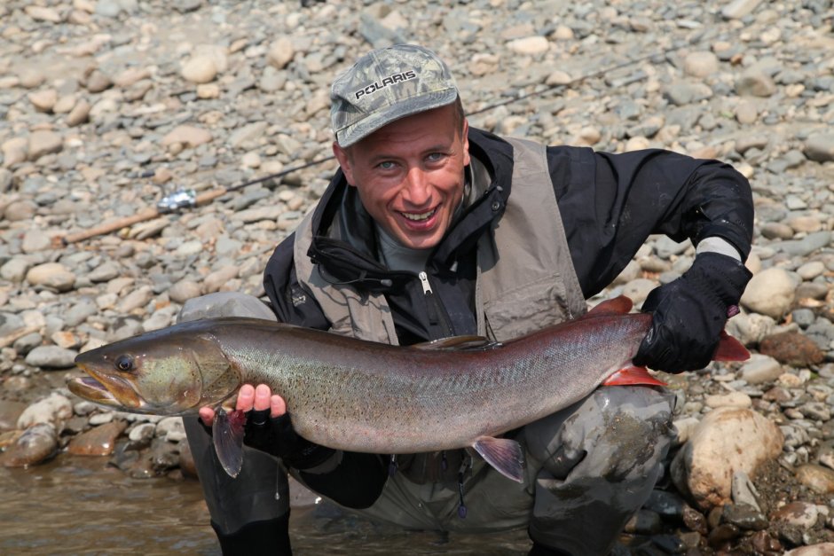 Таймень Дальневосточный