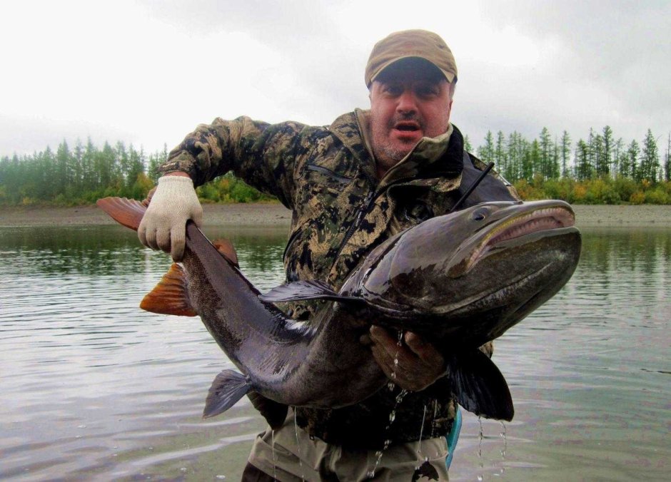 Подкаменная Тунгуска охота