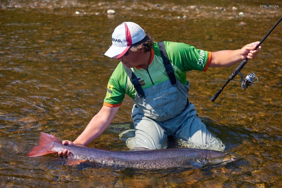 Ловля тайменя на спиннинг