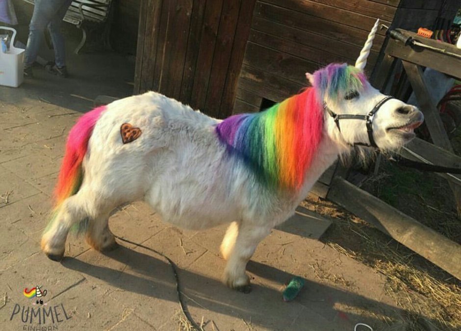 Ослик для детей