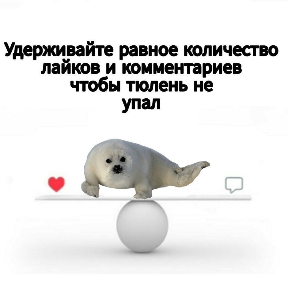 Анекдот про тюленя