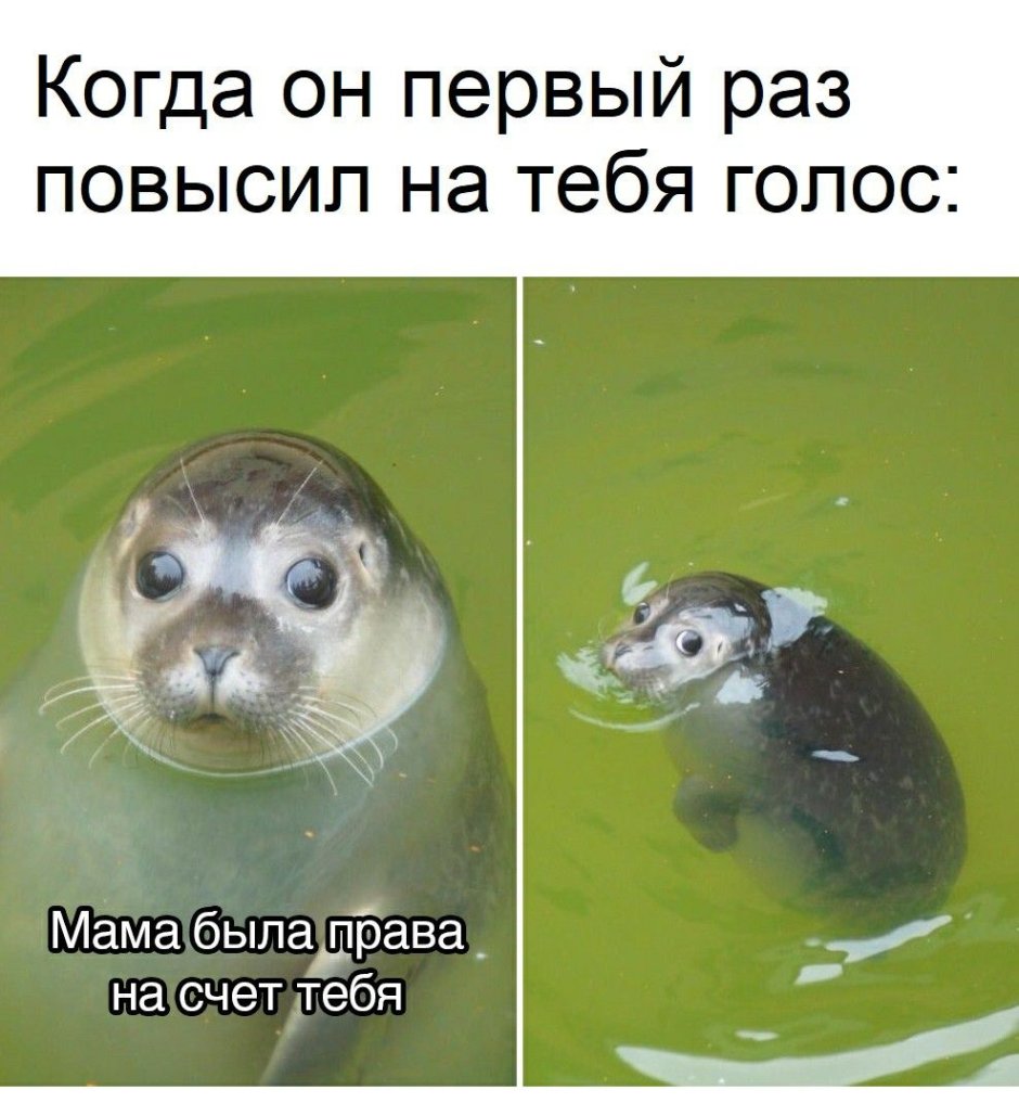 Мама была права на счет тебя