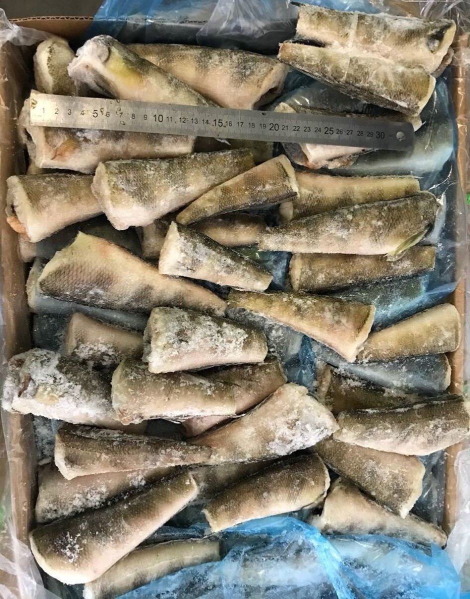 Нототения мраморная