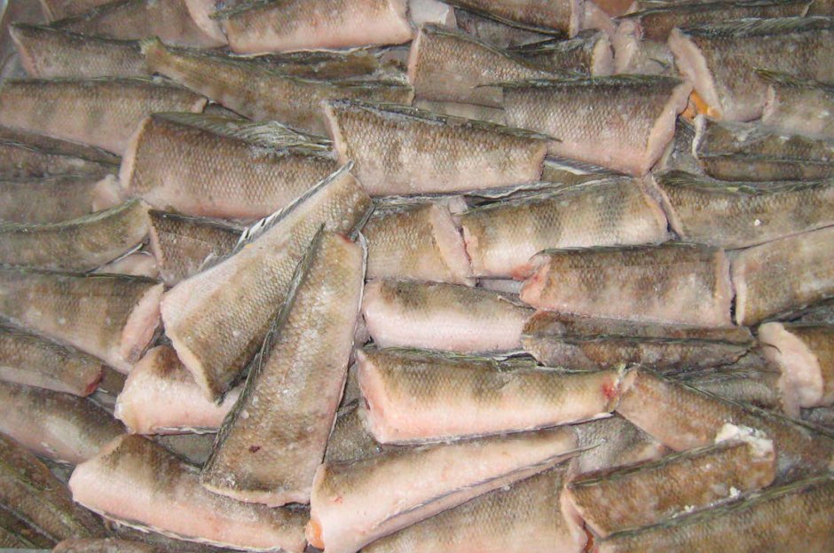 Нототения замороженная