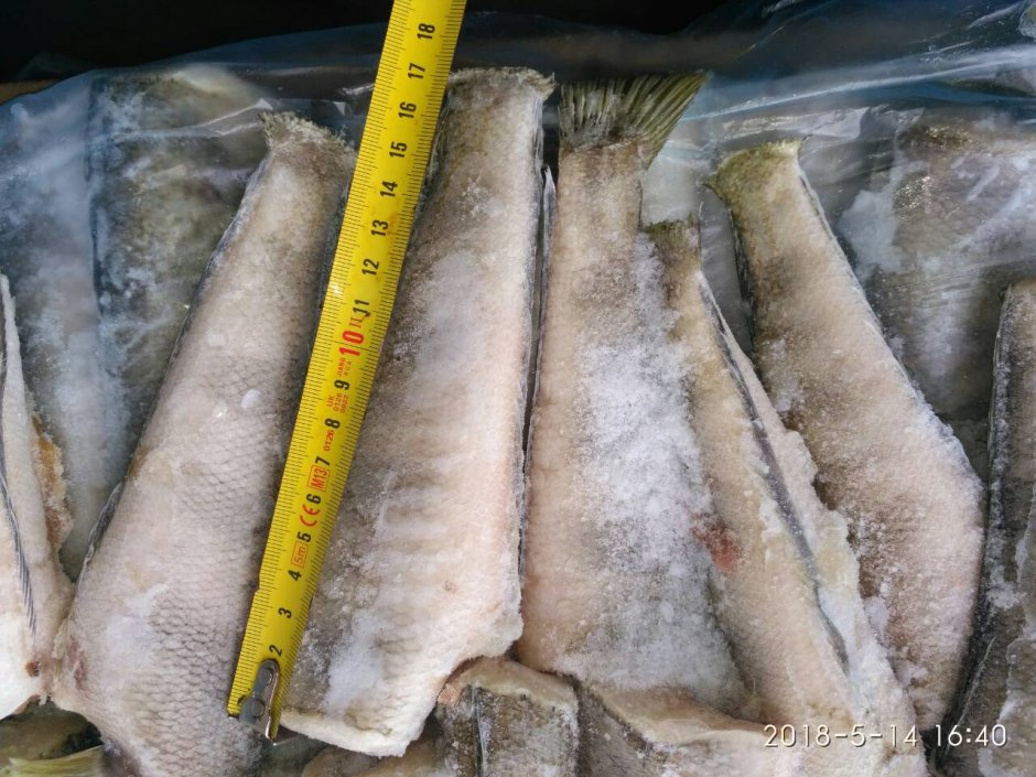 Нототения это хек