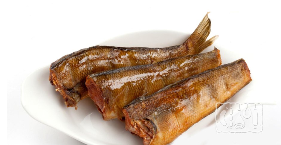 Нототения рыба