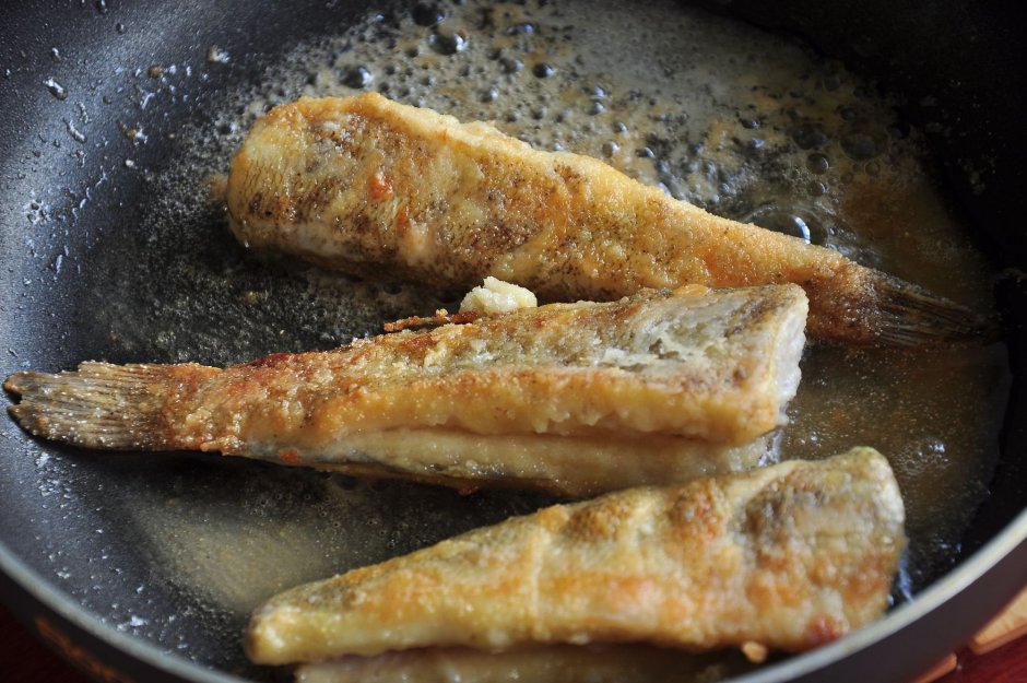 Нототения рыба купить