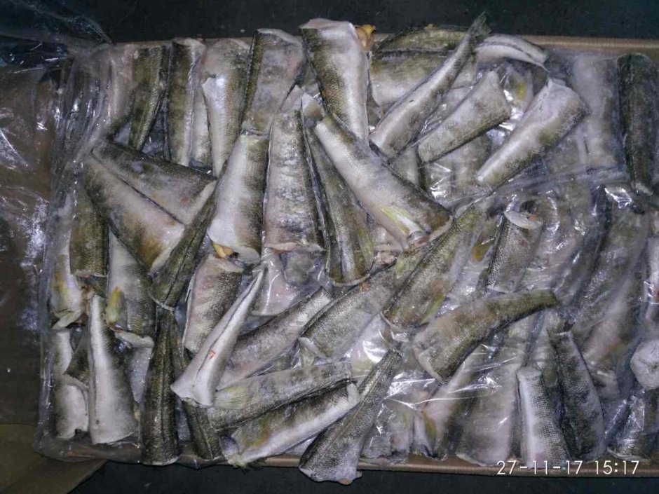 Замороженная рыба нототения