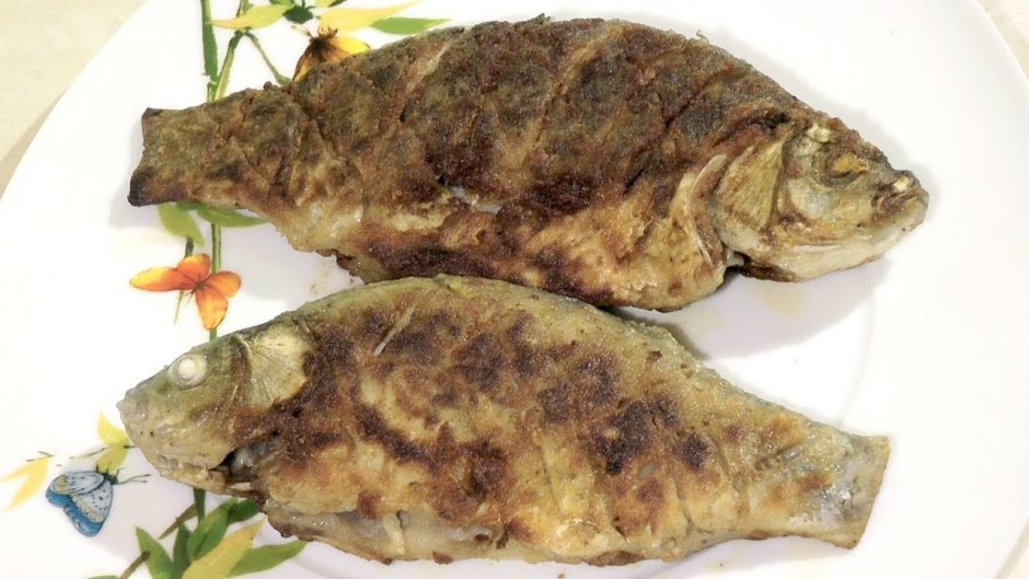 Длиннопёрая нототения